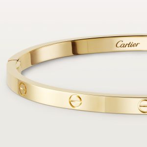 Vòng Tay Cartier Love Small Model Chế Tác Vàng Vàng 18K (2)